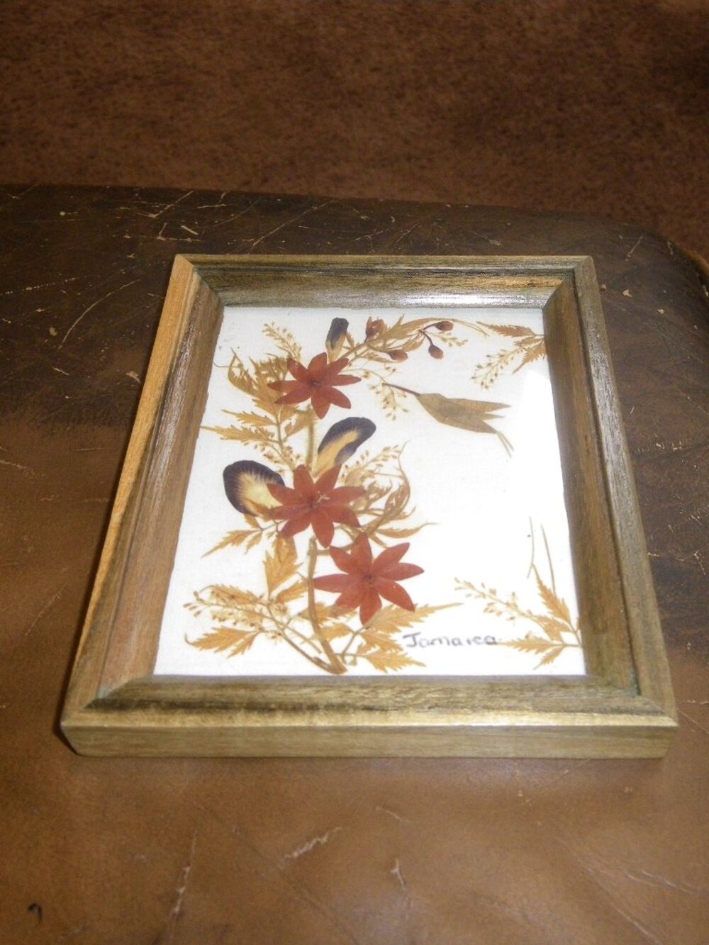 Vintage Miniature Framed Dried Flowers on Canvis Jamaica